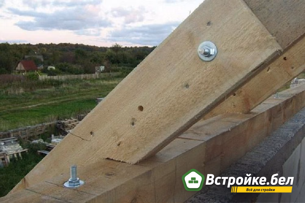 2. Жесткие.jpg